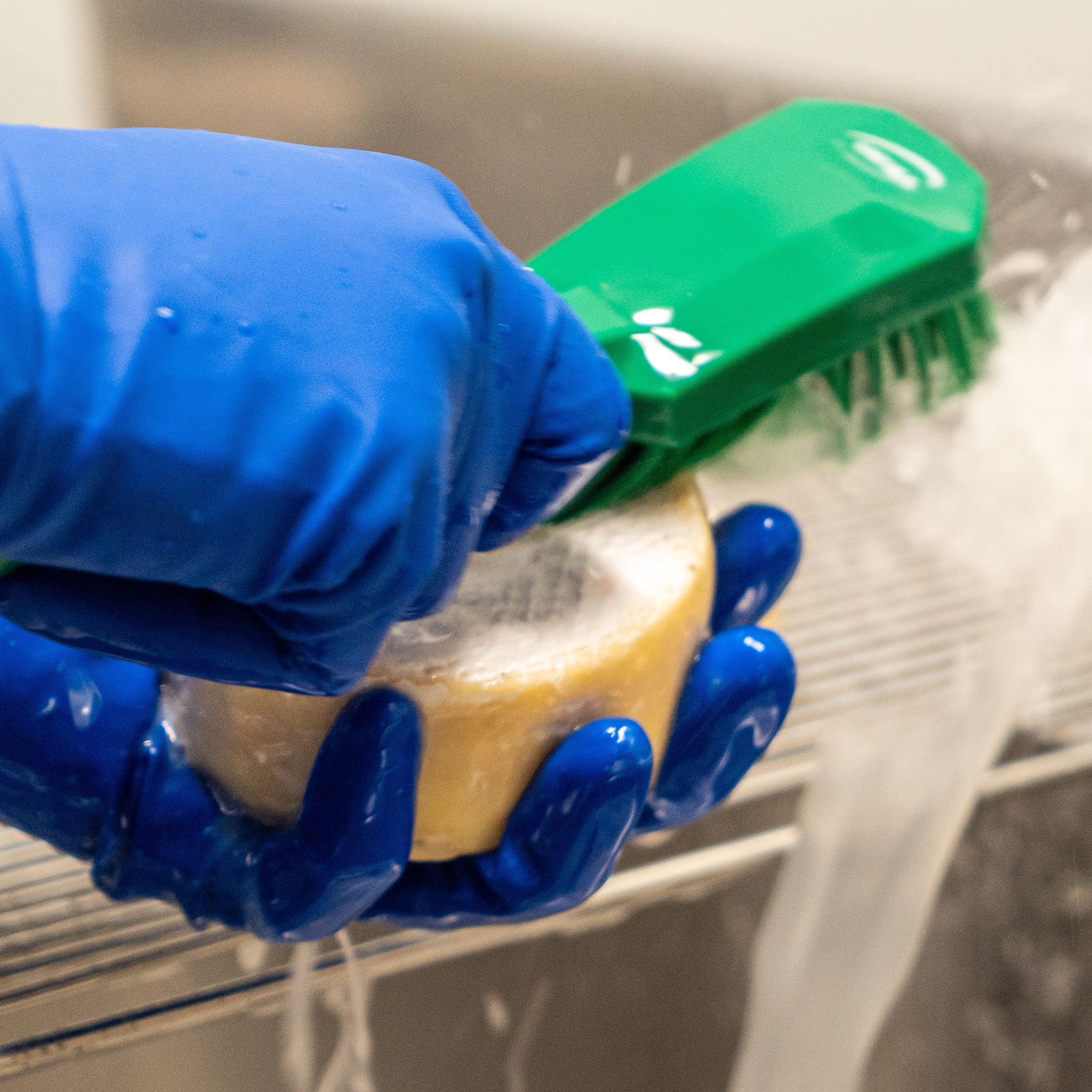 King River Gold Cheesemaking Process Milawa Cheese Company